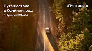 Путешествия по России: в Калининград на Hyundai SONATA