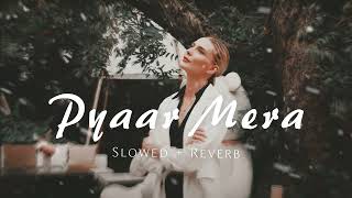 Pyaar Mera | 2024 | Slowed + Reverb | SLOWED MUSIC #slowed #bollywood #2024