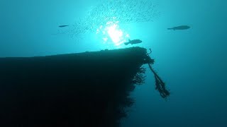 Red Sea scuba diving! Wreck dive in Egypt.