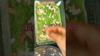 लौकी बर्फी#shortsfeed #recipe #cooking #shortvideo #youtubeshorts #shorts #viralvideo #shortsviral