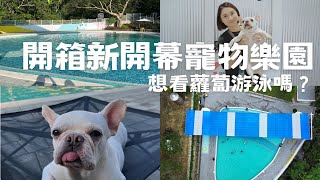 【陳先陳太vlog】開箱苗栗新開幕寵物樂園：樂吧溪畔莊園 ft.Picapica一秒開合寵物床