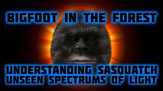 BIGFOOT IN THE FOREST - UNSEEN SPECTRUMS OF LIGHT