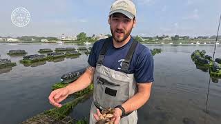 Backstage | Shellfish Division | Oyster Cage Ride Along