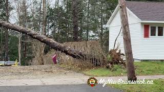 Fredericton Storm Damage