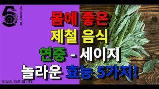 몸에 좋은 제철 음식 연중 - 세이지 놀라운 효능 5가지!