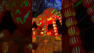 Pumpkins at Kentucky Kingdom