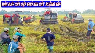 Cùng Xem Dàn Máy Cắt KUBOTA Gặp Khó Khi Cắt Trên Ruộng Này | Nông Dân 68