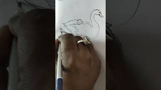 How to draw a swan #drawing #art #shorts