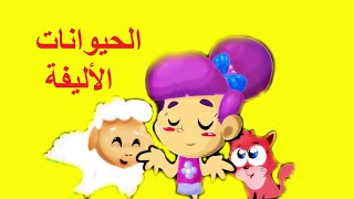 الحيوانات الأليفة  طيور بيبي  Toyor Baby Hyawnat