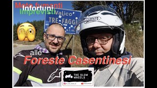 TheSlowWheels - Moto Fumanti, Infortuni ed Imprevisti alle Foreste Casentinesi