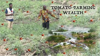 Uganda's Tomato Farmer Millionaire Who Owns Busowoko Beach.