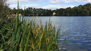 🎣 🌧️ At least I’m not a blanker and the weather forecast