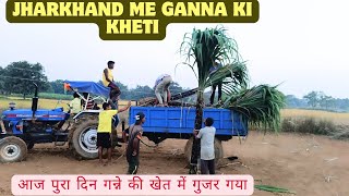 JHARKHAND ME GANNA KI KHETI"आज पुरा दिन गन्ने का खेत में गुजर गया