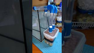 DIY CanisterFilter for your Aquarium #aquarium #aquariumfilter #diy #shorts #fish #aquariumfishtank