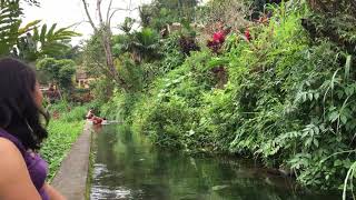 Swimming in the river