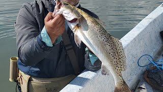 Fishes were hungry!|Port Mansfield, Tx#shorts #WadefishingEnthusiast