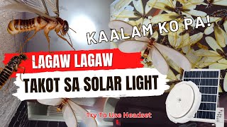 Takot Pala Ang Lagaw Lagaw sa Solar Lights