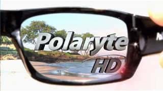 Polaryte - Óculos de Sol