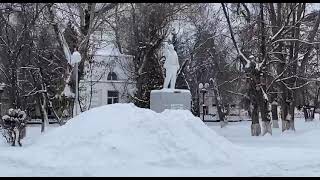 Жители Вольска недовольны уборкой центрального сквера