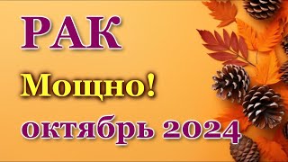 РАК - ТАРО ПРОГНОЗ на ОКТЯБРЬ 2024 - ПРОГНОЗ РАСКЛАД ТАРО - ГОРОСКОП ОНЛАЙН ГАДАНИЕ