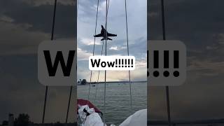 Wow!!!  F18 Low Pass Over Sailboat!!!