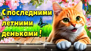 Самого доброго  утра!🌞Благословенного дня!💗Красивая музыкальная открыта