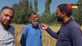 Sagam Village of South Kashmir produces Mushk Budgi Rice