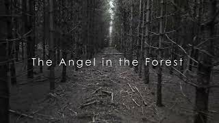 TEASER - The Angel in The Forest