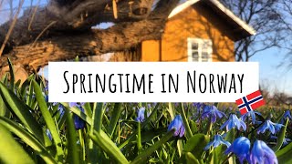 Springtime in Norway | Travel with Lou