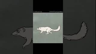 Evolution Explained In 11 Seconds #funny #neet #science #evolution #newmemes