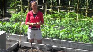 Summer Garden Workshop: Reap What You Sow in the Veggie Garden