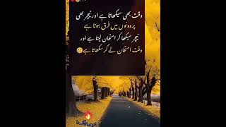 Waqt b sikhata h || Golden Words In Urdu_ Urdu Quotes |Islamic Information|