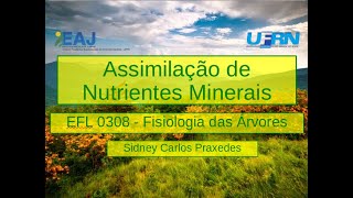 09 - Assimilação de Nutrientes Minerais - 2