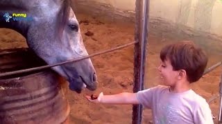 Kid And Horse Compilation