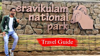 Eravikulam National park munnar Kerala | munnar tourist places | Munnar travel guide