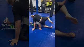 2 arm locks from turtle with Erik Paulson