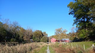 Water wheel hike fall foliage tour