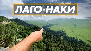 Плато Лаго-Наки 2021 / Цены / Гузерипль /Река Белая / Партизанская поляна / Яворова поляна