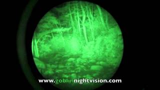 Night vision video of Smokey Mountains National Park, TN.