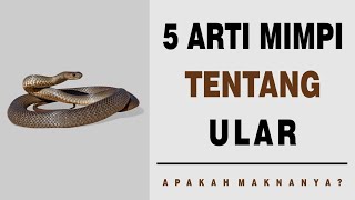 5 Arti Mimpi Tentang Ular