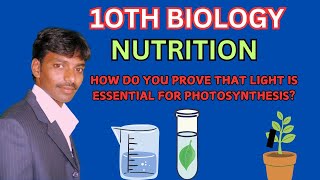 HOW DO YOU PROVE THAT LIGHT IS ESSENTION FOR PHOTOSYNTHESIS? in10th BIOLOGY.