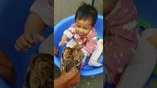 Playing_with_a_Chicken. She is not afraid. #shortsvideo #viral #nature #babygirl #mifta #rupa