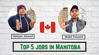 Best jobs for Newcomers || Easy to Search || Specially for Students