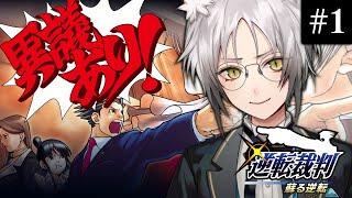 【逆転裁判】私があなたの弁護人です！【猫瀬乃しん】