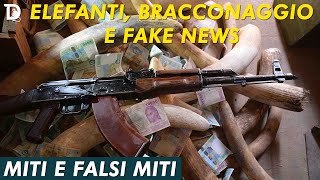 LA BUFALA DEGLI ELEFANTI CHE NASCONO SENZA ZANNE | 🕵 𝐌𝐢𝐭𝐢 𝐞 𝐅𝐚𝐥𝐬𝐢 𝐌𝐢𝐭𝐢 | 📺 𝟷𝚡𝟶𝟺