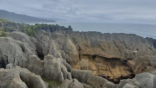 New Zealand - roadtrip 2 | 07 Seals Colony, Pancakes Rocks