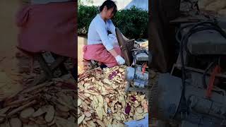 Production of sweet potato chips #automobile #bambooindustry #machinetools #machine #bambootools