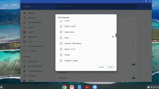 how to change language in chromebook