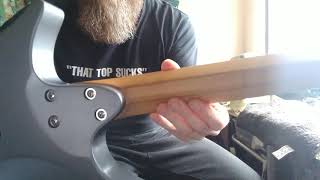 Philip Joyce - .strandberg* classic 6 trem review demo