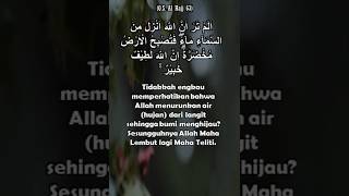 Surat Al Hajj 63-64: Allah Menurunkan Hujan | Petikan Ayat Al Quran